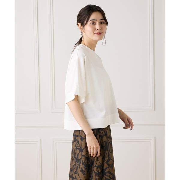 イネド（INED）/《大きいサイズ》シアーオーバーサイズカットソー