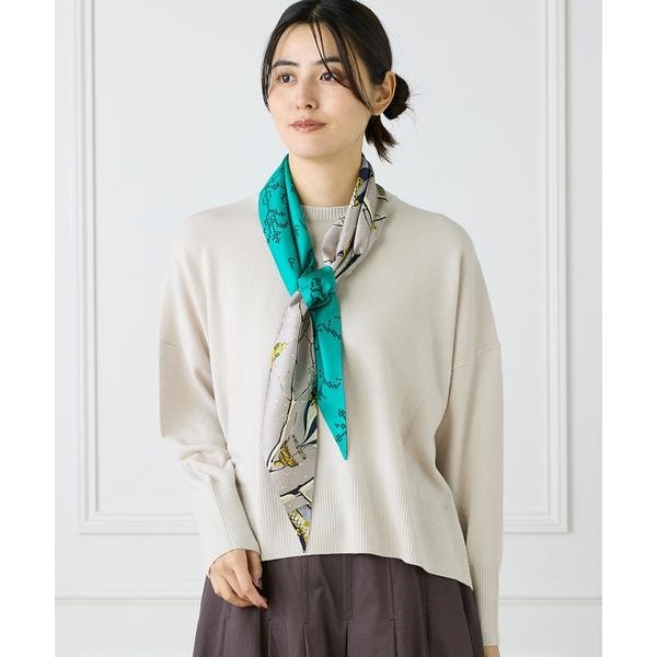 イネド（INED）/《大きいサイズ》クルーネックプルオーバーニット