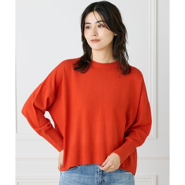 イネド（INED）/《大きいサイズ》クルーネックプルオーバーニット