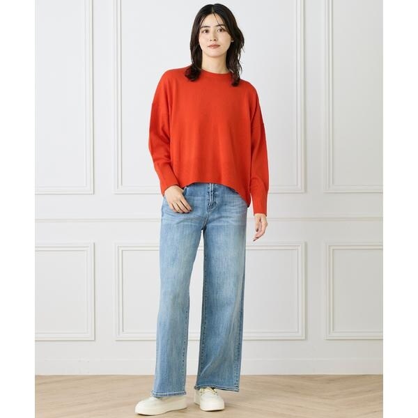 イネド（INED）/《大きいサイズ》クルーネックプルオーバーニット