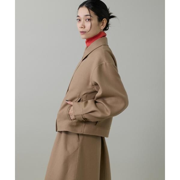 イネド（INED）/《大きいサイズ》ダブルフェイスブルゾン