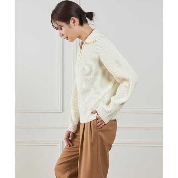 イネド（INED）/《大きいサイズ》ハーフジッププルオーバーニット