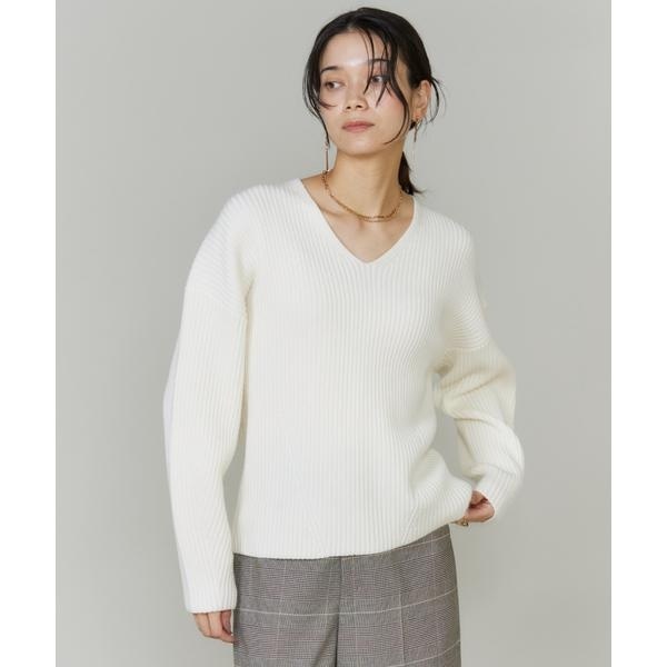 イネド（INED）/《大きいサイズ》Vネックプルオーバーニット