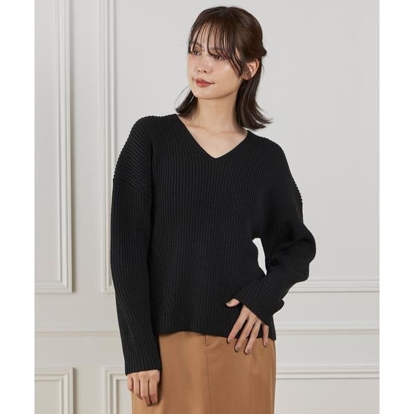 イネド（INED）/《大きいサイズ》Vネックプルオーバーニット