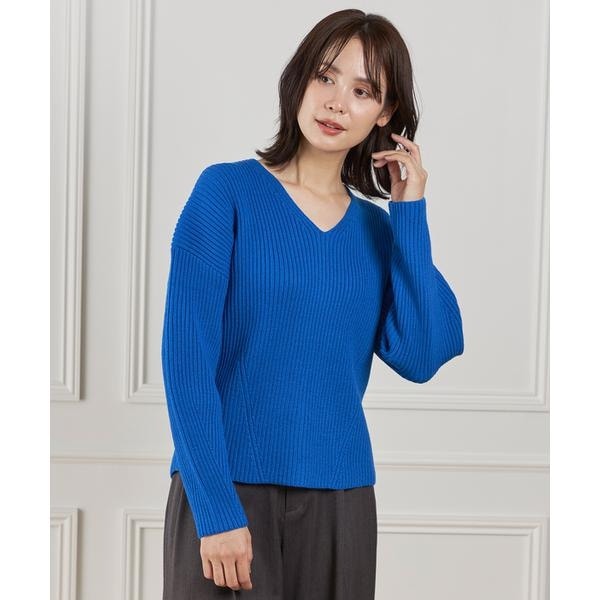 イネド（INED）/《大きいサイズ》Vネックプルオーバーニット