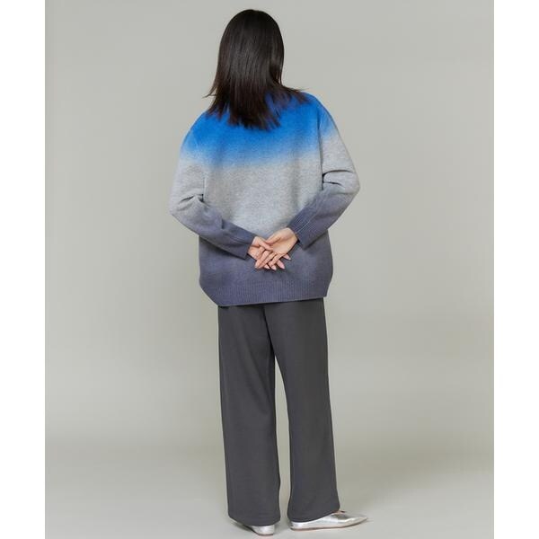 イネド（INED）/グラデーションニットプルオーバー《YVON》