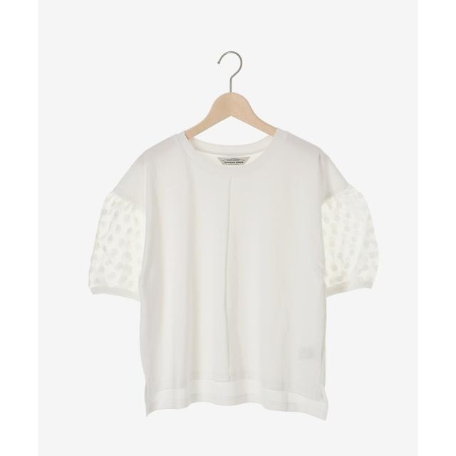 ルクールブラン（le．coeur blanc）/《手洗い可能》TORRAZZO DONNAドット切替カットソー