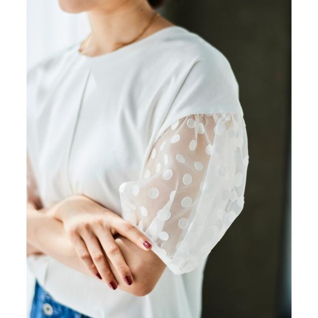ルクールブラン（le．coeur blanc）/《手洗い可能》TORRAZZO DONNAドット切替カットソー