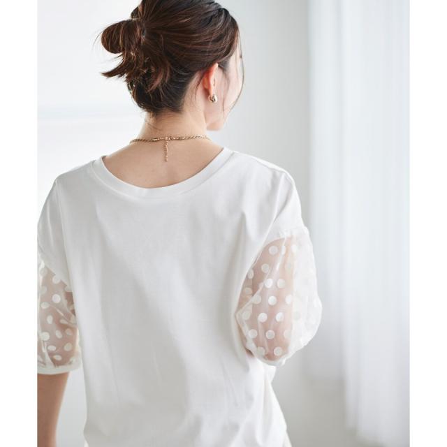 ルクールブラン（le．coeur blanc）/《手洗い可能》TORRAZZO DONNAドット切替カットソー