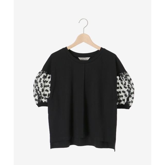 ルクールブラン（le．coeur blanc）/《手洗い可能》TORRAZZO DONNAドット切替カットソー