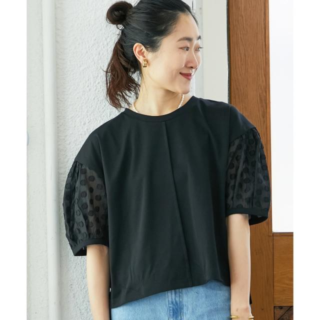 ルクールブラン（le．coeur blanc）/TORRAZZO DONNAドット切替カットソー