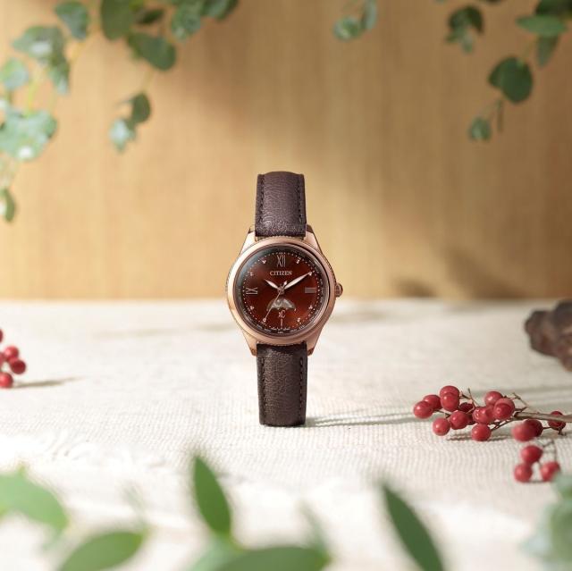 クロスシー（xC）/CITIZEN シチズン daichi collection EE1002−01Wの