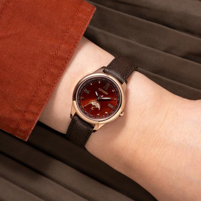 クロスシー（xC）/CITIZEN シチズン daichi collection EE1002−01Wの