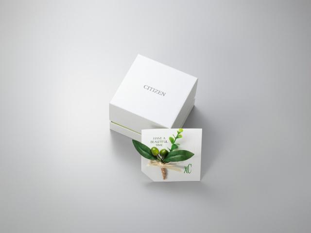 クロスシー（xC）/CITIZENシチズンKEIKO KITAGAWA Limited Model ES9498−51D_6