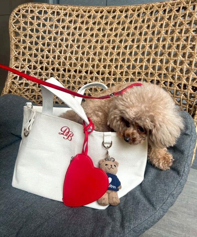 ドノバン（DONOBAN）/【Donoban】マルチキャンバストートの通販はau