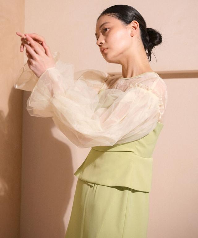 アンドレスド（ANDRESD）/【ANDRESD】draped bustier flocky dressの