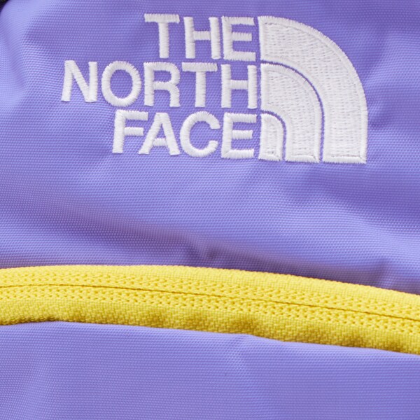 ザ・ノース・フェイス（THE NORTH FACE）/【THE NORTH FACE/ザ・ノース・フェイス】キッズ スモールデイ_17