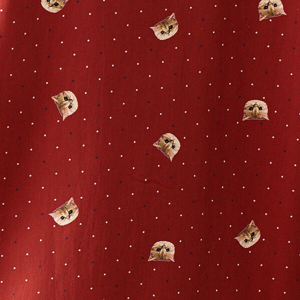 ポール＆ジョー パリス（PAUL&JOE PARIS）/ヌネットとドット サテン