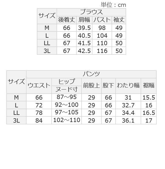 ヴィオラエヴィオラ（viola e_viola）/洗える！楽ちん多機能ブラウスセットアップ