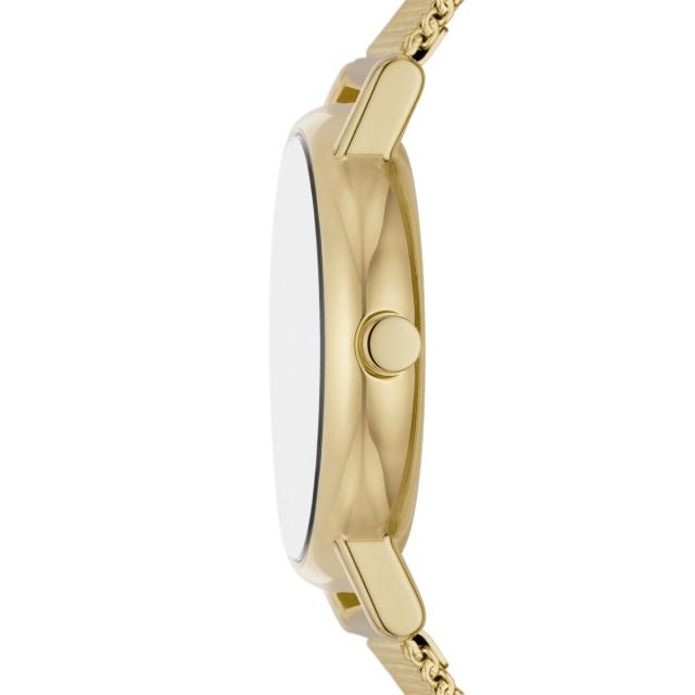 スカーゲン（SKAGEN）/SIGNATUR LILLE シグネチャー リル SKW3111