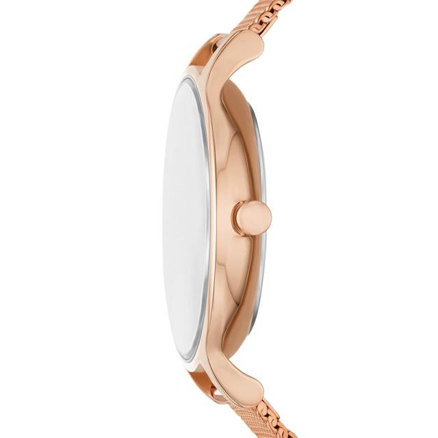 スカーゲン（SKAGEN）/ANITA LILLE アニータ リル SKW3150