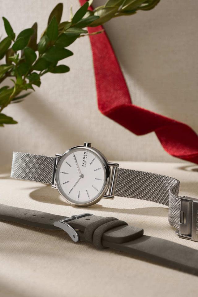 スカーゲン（SKAGEN）/SIGNATUR LILLE 名書き リル SKW3161SET