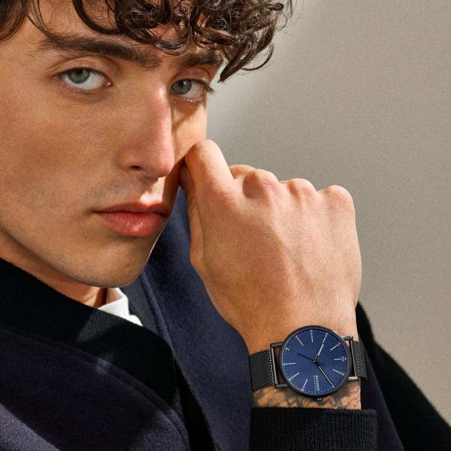 スカーゲン skw3038 SKAGEN スカーゲン（SKAGEN）/SIGNATUR シグネチャー SKW6933SETの通販