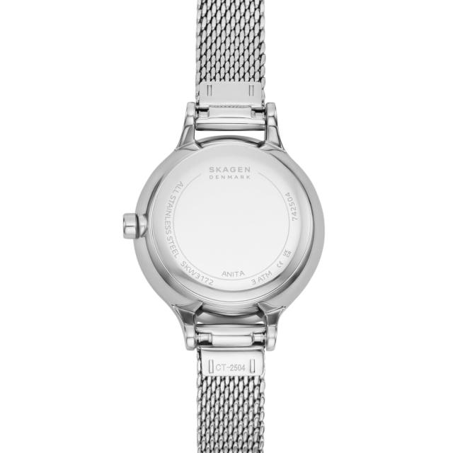 スカーゲン（SKAGEN）/ANITA MICRO アニータマイクロ SKW3172