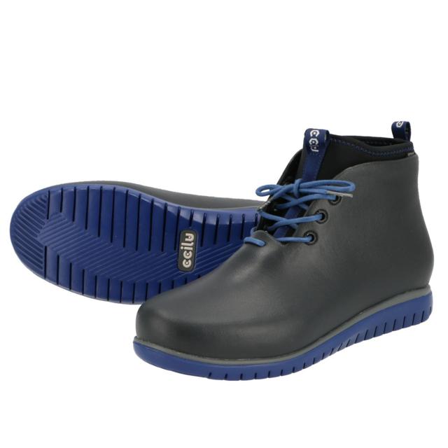 バックヤードファミリー/ccilu PANTO PAOLO & CDOT