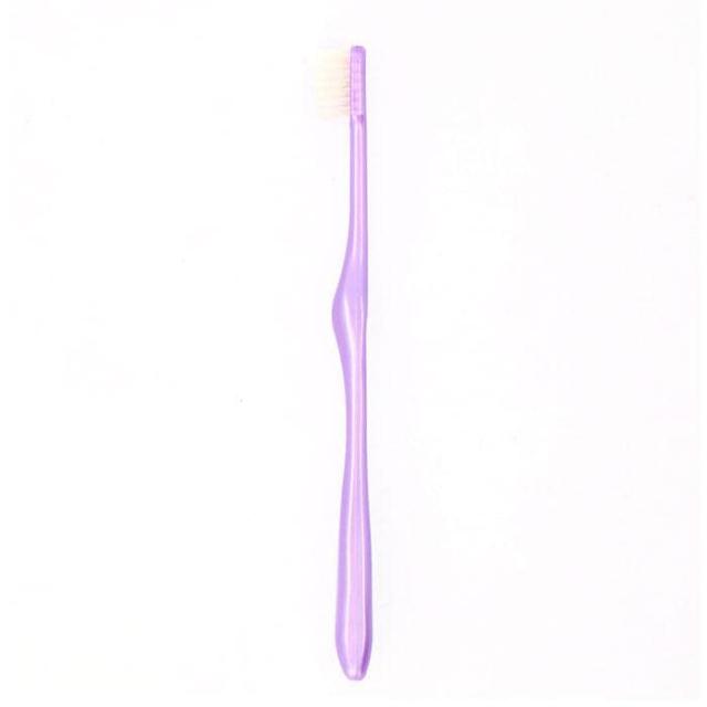 バックヤードファミリー/LT−53 磨きやすい歯ブラシ極 ふつう 6本組の