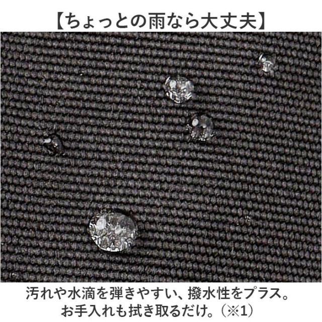 バックヤードファミリー（BACKYARD FAMILY）/BEN DAVIS ベンデイビス LARGE DAYPACK_11