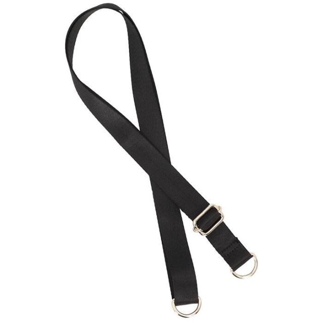 バックヤードファミリー（BACKYARD FAMILY）/わちふぃーるど