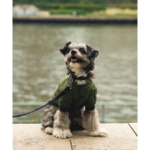 アヴィレックス（AVIREX）/《DOG WEAR／ドッグ ウェア》MA−1 LOGO ／ドックウェア　エムエーワン