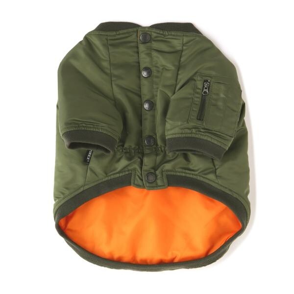 アヴィレックス（AVIREX）/《DOG WEAR／ドッグ ウェア》MA−1 LOGO ／ MA−1 ロゴ ／ FB／フレンチブルド