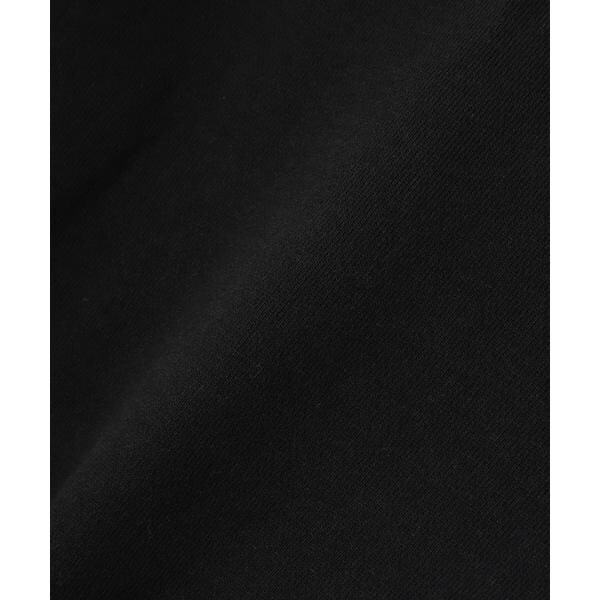 アヴィレックス（AVIREX）/《WEB&限定》ASTAR HALFZIP SWEAT ／ Aスター ハーフジップスウェッ