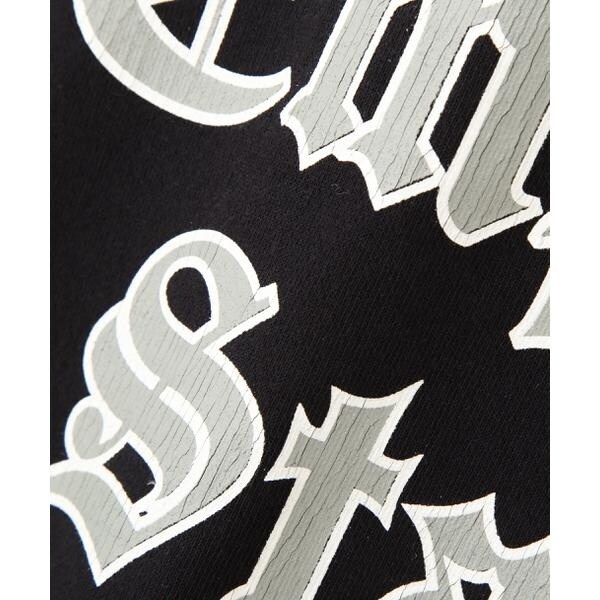 ショット（Schott）/HOODED SWEAT EMPIRE STATE／パーカー エンパイア