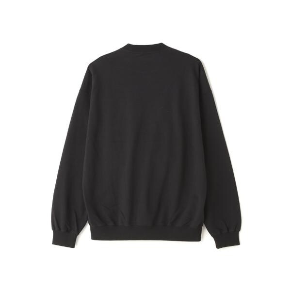 エルエイチピー（LHP）/THE NORTH FACE／ザ・ノース・フェイス／Jacquard Half Dome Crew_4