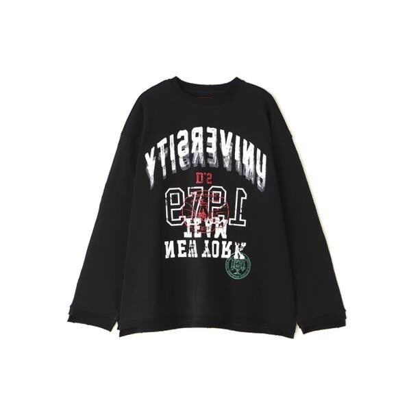 エルエイチピー（LHP）/DankeSchon／ダンケシェーン／SWITCH L／S TEE UNIVERSITYの通販は 15,400円