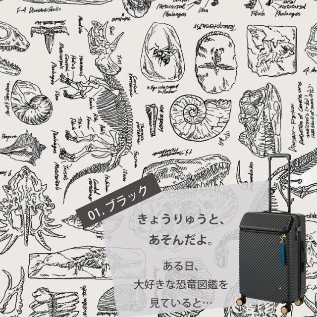 ハント（HaNT）/スーツケース フロントオープン 2〜3泊 50L ハント ヘイヘイ_17