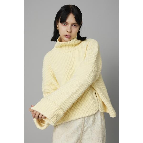 ヘリンドットサイ（HeRIN．CYE）/Back random hem tops