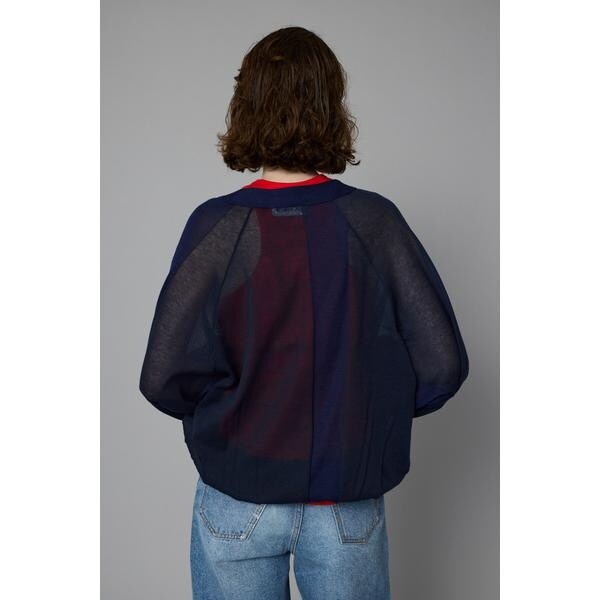 ヘリンドットサイ（HeRIN．CYE）/Color block sheer cardiganの通販は