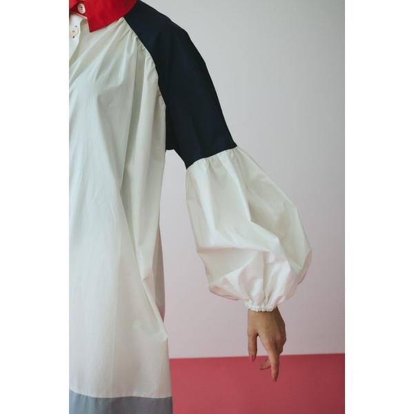 ヘリンドットサイ（HeRIN．CYE）/Color block dress_7