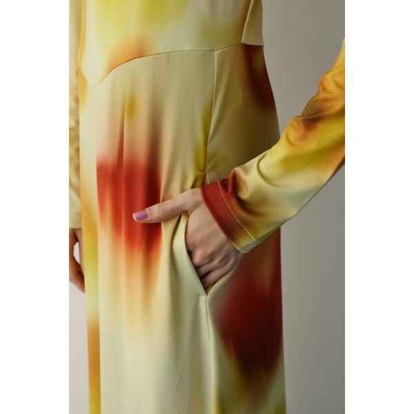 ヘリンドットサイ（HeRIN．CYE）/Paprika pattern dress