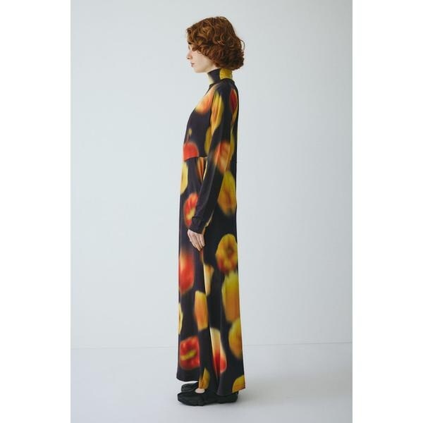 ヘリンドットサイ（HeRIN．CYE）/Paprika pattern dress