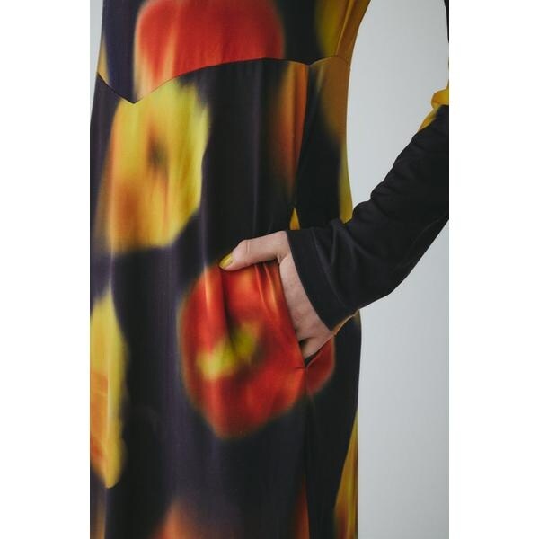 ヘリンドットサイ（HeRIN．CYE）/Paprika pattern dress
