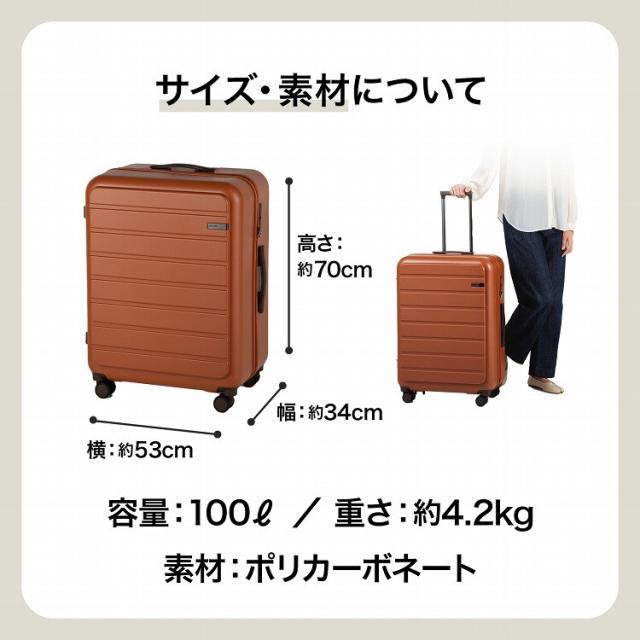 エース（ACE）/大容量 1週間以上 スーツケース ACE エース フレットボード 100L_13