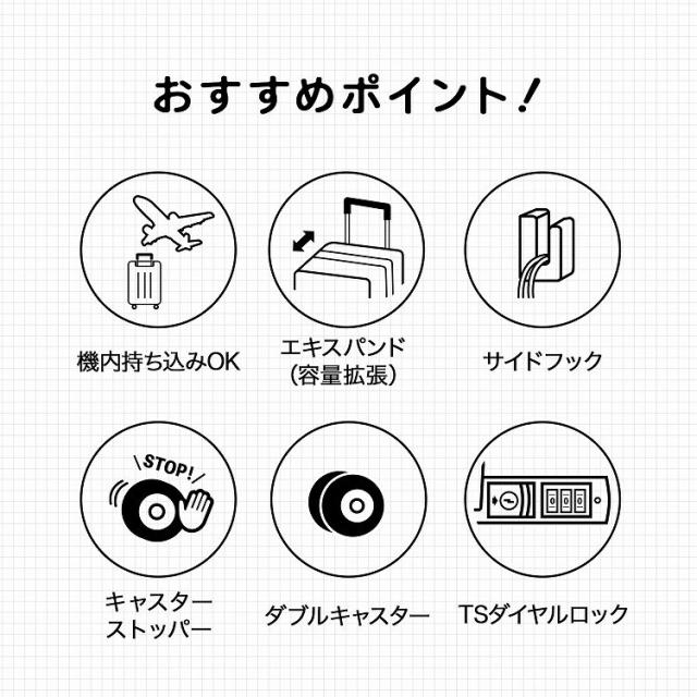 エース（ACE）/スーツケース 33L/40L 機内持ち込み 拡張機能 ACE ファームロード 05891_3