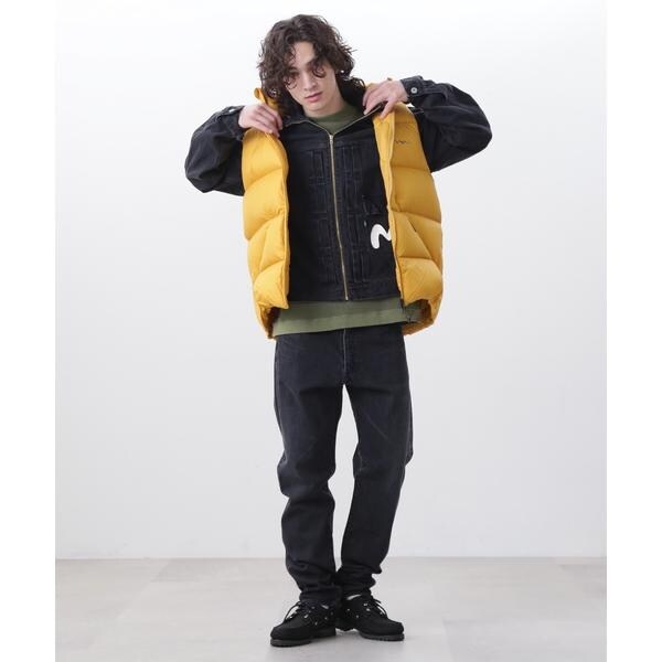 マナスタッシュ（Manastash）/MANASTASH／マナスタッシュ／M−RIP DOWN VEST／マイクロリップダウンベストの通販は