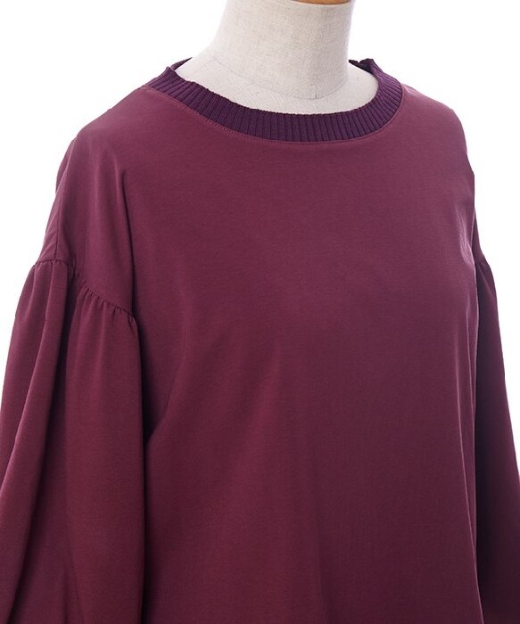 アノネネ（a．no．ne．ne．）/ギャザスリーブＰＯ