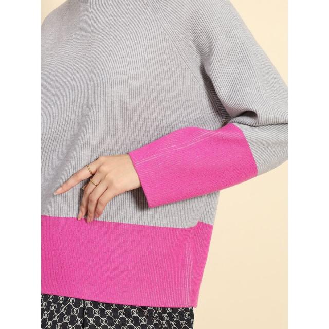 フェンネル（FENNEL）/ボトルネックバイカラーラグランニットの通販は